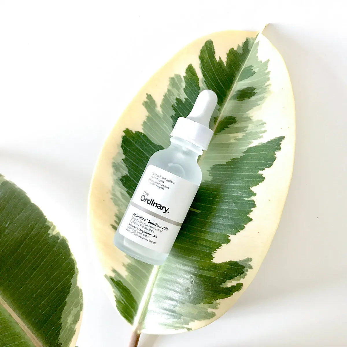 The Ordinary- Argireline Solution 10%
